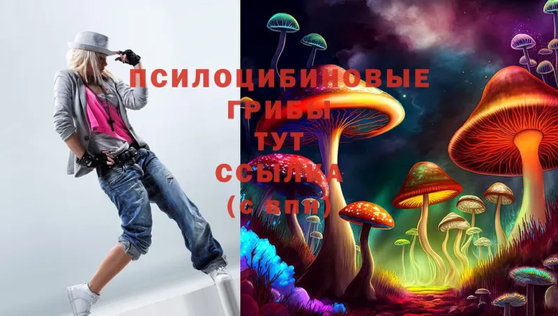 Галлюциногенные грибы MAGIC MUSHROOMS  Богданович 